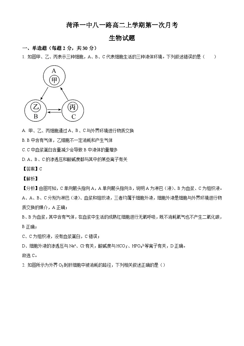 山东省菏泽市第一中学2024-2025学年高二上学期第一次月考生物试题（解析版）01