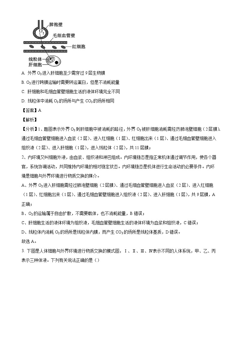 山东省菏泽市第一中学2024-2025学年高二上学期第一次月考生物试题（解析版）02