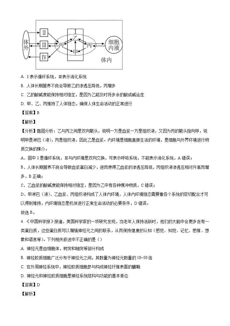 山东省菏泽市第一中学2024-2025学年高二上学期第一次月考生物试题（解析版）03