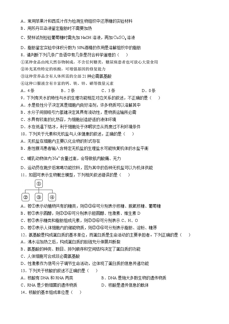 山东省菏泽市牡丹区菏泽外国语学校2024-2025学年高一上学期第一次月考生物试题第2页