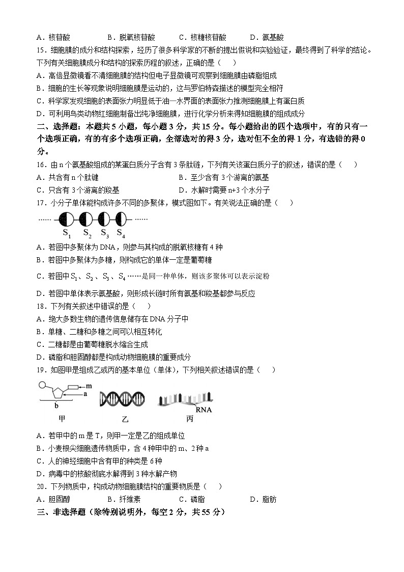 山东省菏泽市牡丹区菏泽外国语学校2024-2025学年高一上学期第一次月考生物试题第3页