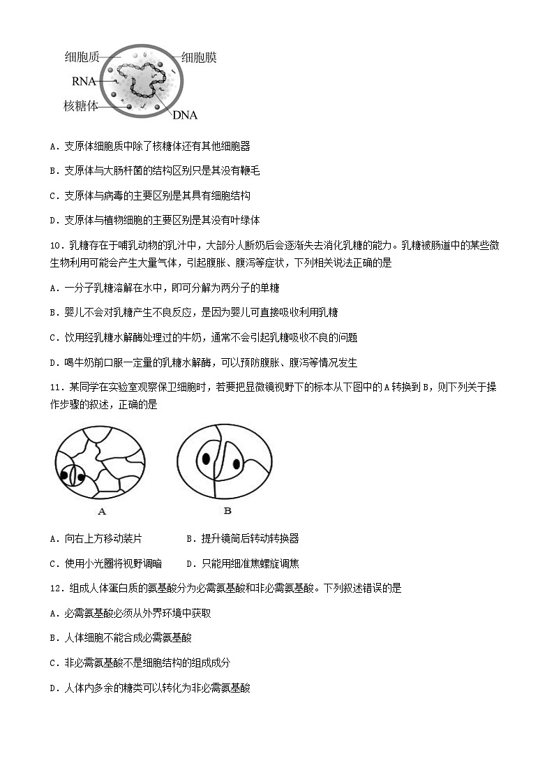 广西柳州高级中学2024-2025学年高一上学期10月月考生物试题第3页