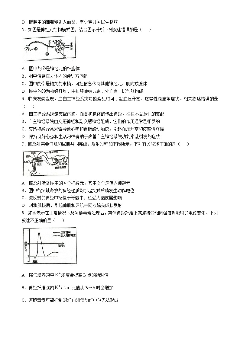 广东省深圳实验学校高中部2024-2025学年高二上学期第一次月考生物试题(无答案)02