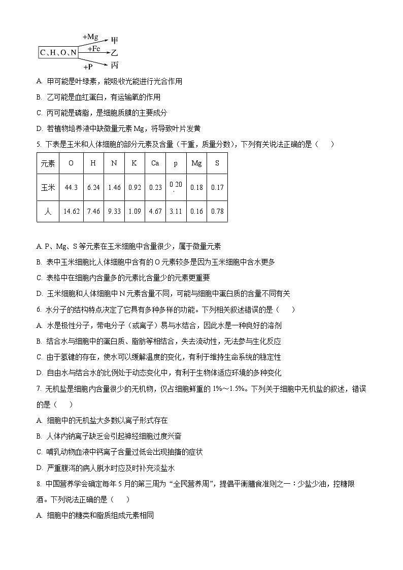 安徽省合肥市第十中学2024-2025学年高一上学期第一次月考生物试题第2页