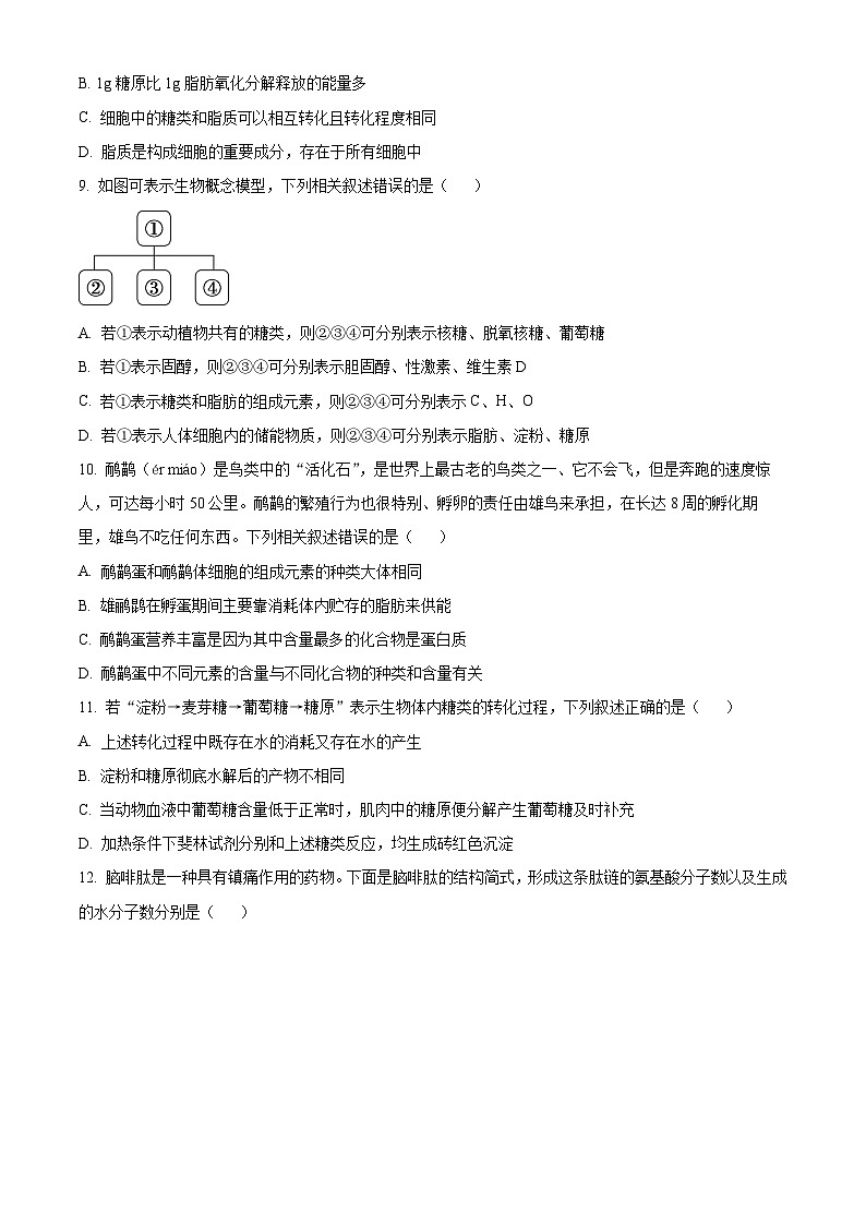 安徽省合肥市第十中学2024-2025学年高一上学期第一次月考生物试题第3页