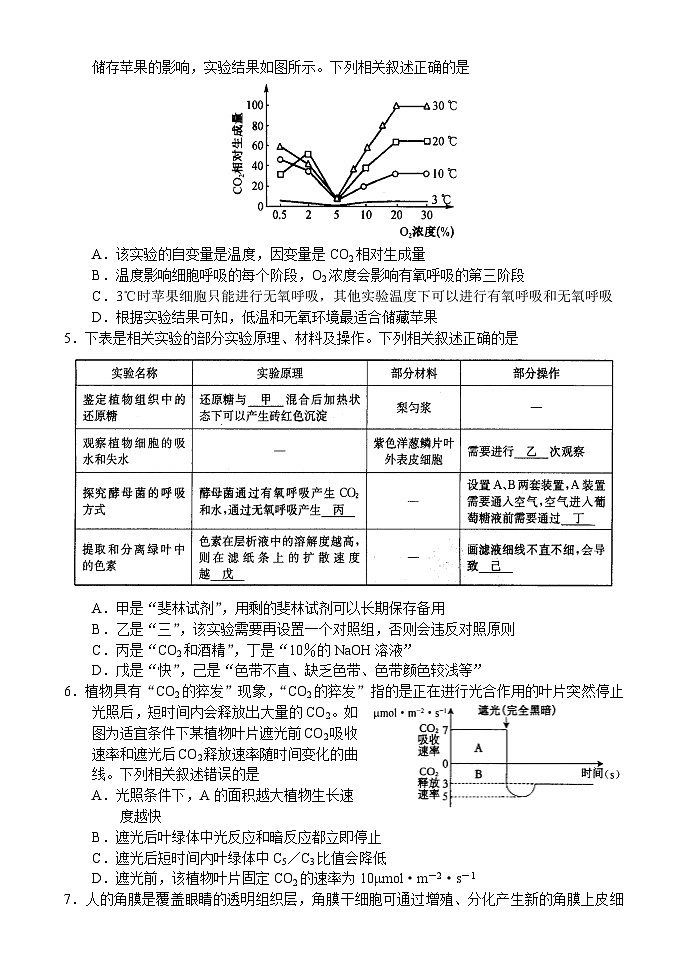 河南省新高中创新联盟TOP二十名校2024-2025学年高三上学期10月调研考试生物试题（Word版附答案）02