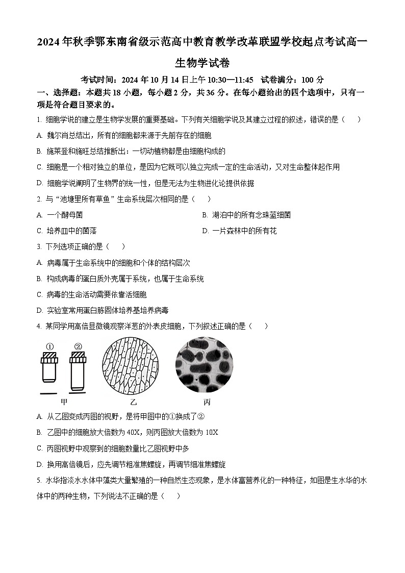 湖北省鄂东南省级示范学校联考2024-2025学年高一上学期10月月考生物试题 Word版无答案第1页