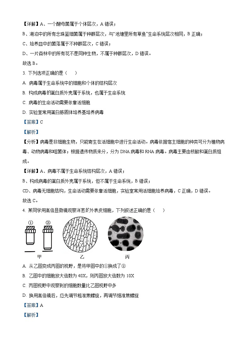 湖北省鄂东南省级示范学校联考2024-2025学年高一上学期10月月考生物试题 Word版含解析第2页