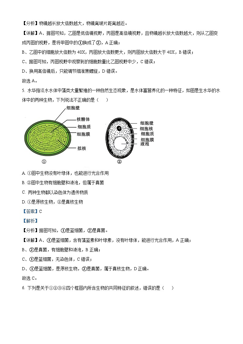 湖北省鄂东南省级示范学校联考2024-2025学年高一上学期10月月考生物试题 Word版含解析第3页