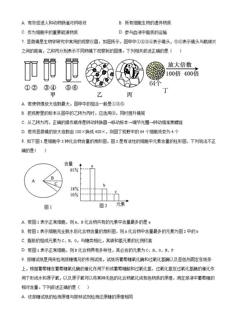 湖北省武汉市第49中学2024-2025学年高一上学期10月月考生物试题（Word版附解析）02