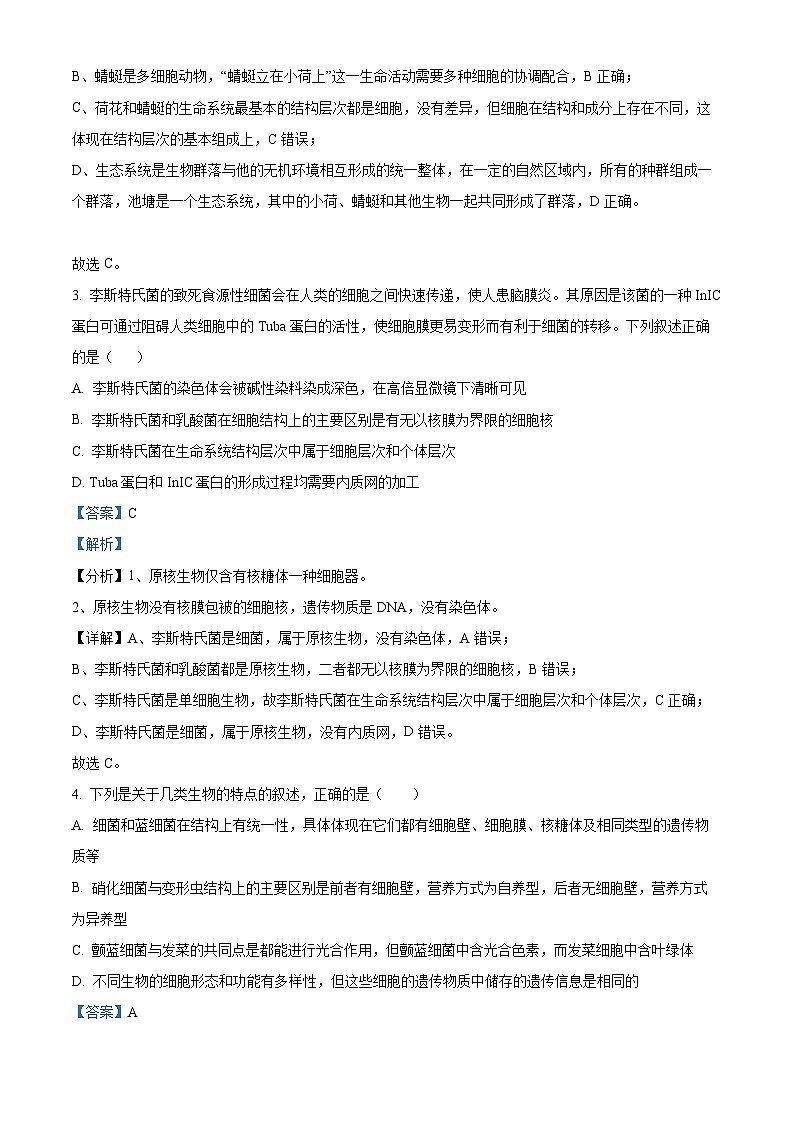 湖北省武汉市第49中学2024-2025学年高一上学期10月月考生物试题（Word版附解析）02