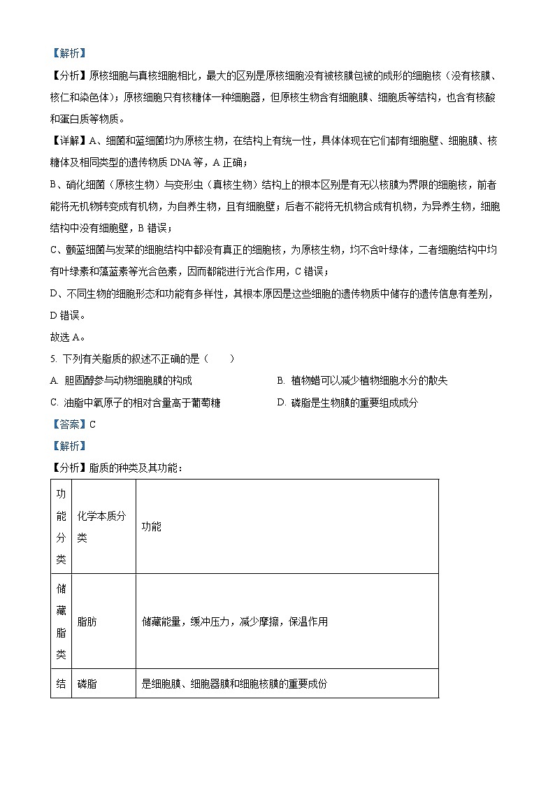 湖北省武汉市第49中学2024-2025学年高一上学期10月月考生物试题（Word版附解析）03