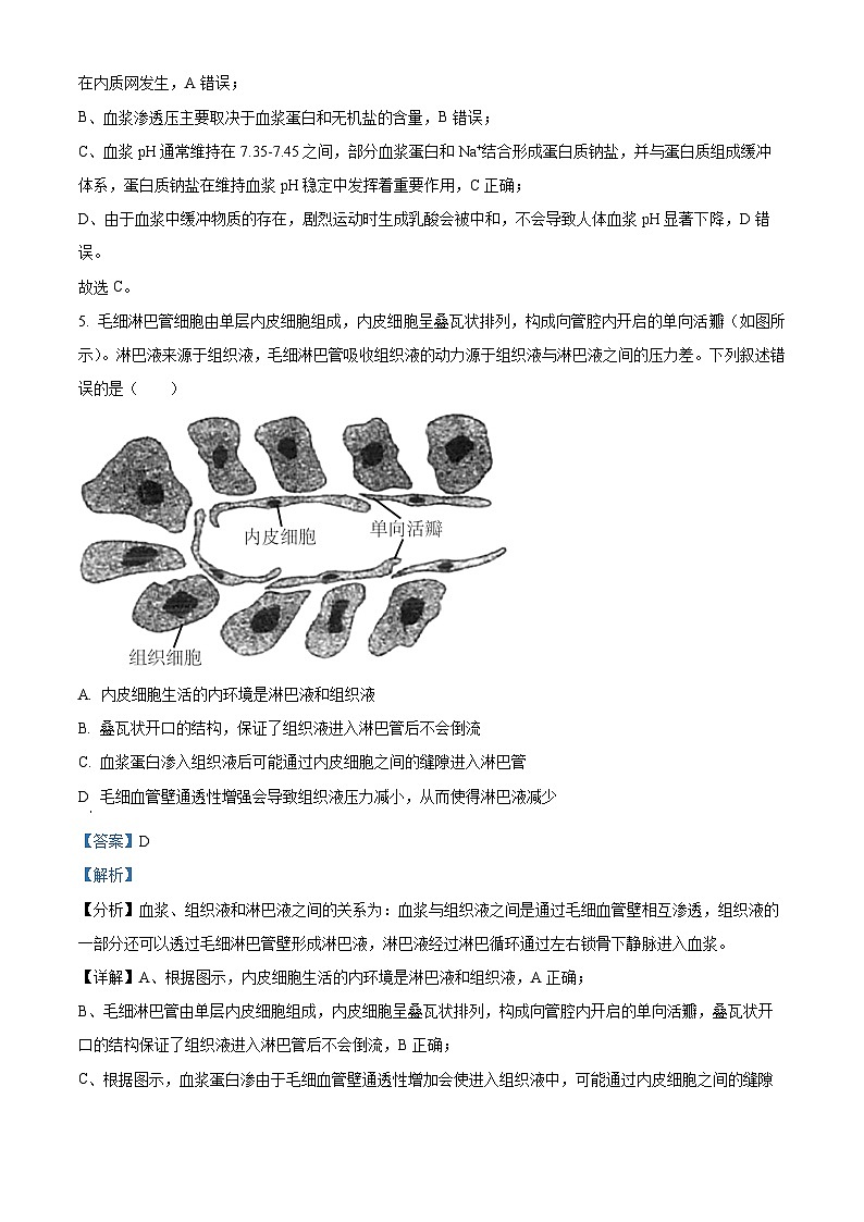 湖北省武汉外国语学校2024-2025学年高二上学期10月阶段性诊断考试生物试题 Word版含解析第3页