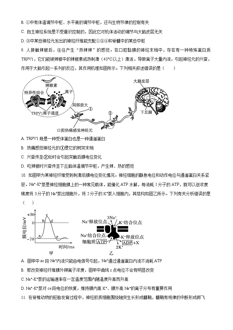 湖北省武汉外国语学校2024-2025学年高二上学期10月阶段性诊断考试生物试题 Word版无答案第3页