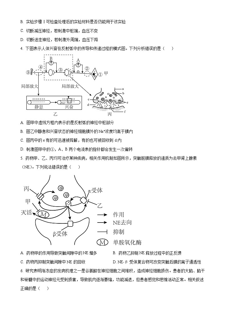 湖南省邵东市第一中学2024-2025学年高二上学期第一次月考生物试题 Word版无答案第2页