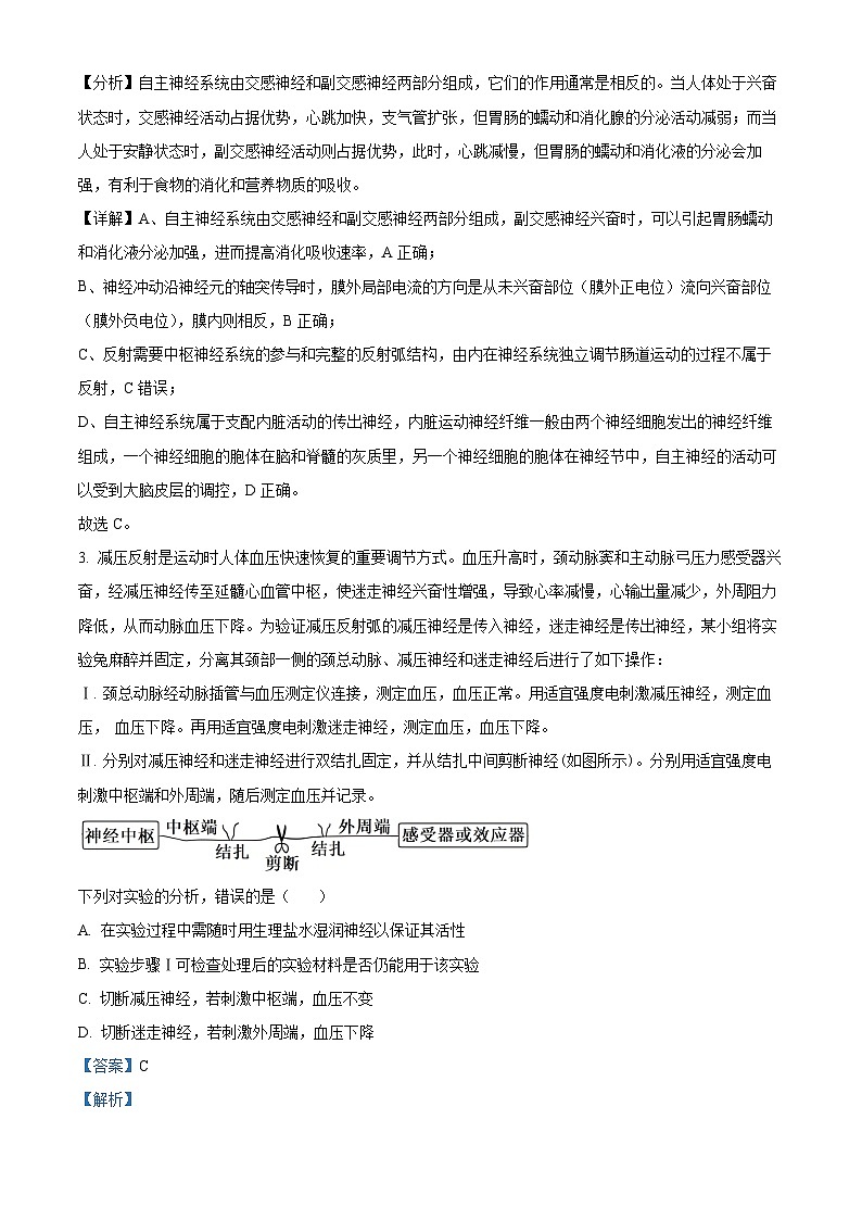 湖南省邵东市第一中学2024-2025学年高二上学期第一次月考生物试题 Word版含解析第2页