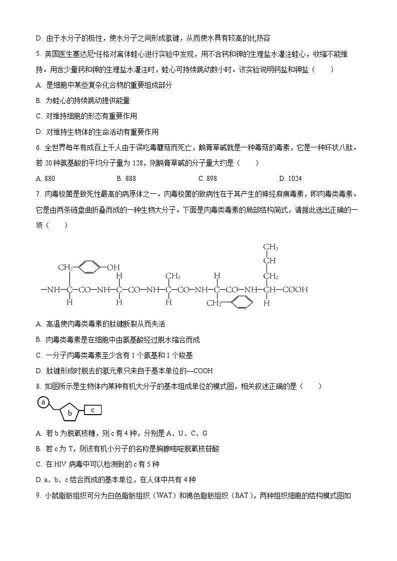 湖南省邵阳市邵东市第一中学2024-2025学年高一上学期第一次月考生物试题（Word版附解析）02