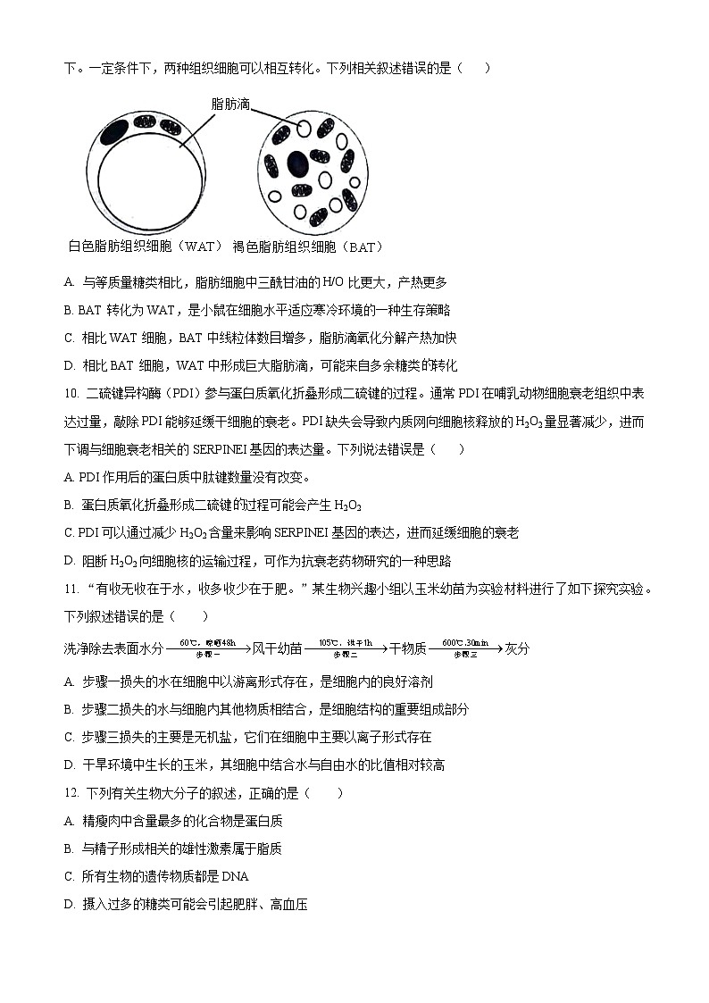 湖南省邵阳市邵东市第一中学2024-2025学年高一上学期第一次月考生物试题（Word版附解析）03