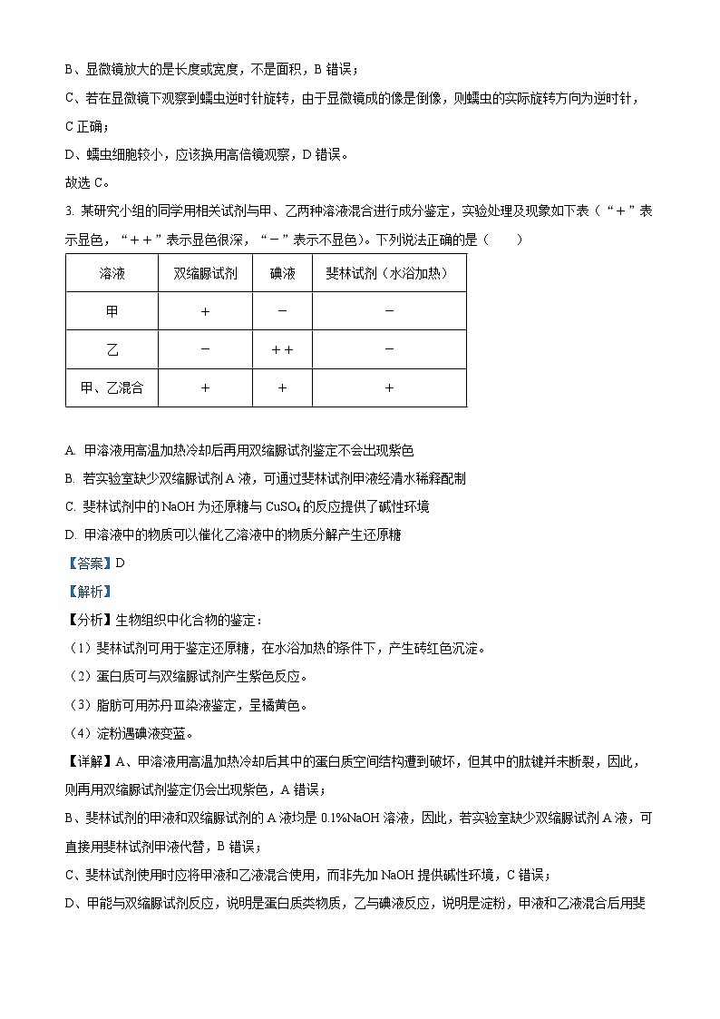 湖南省邵阳市邵东市第一中学2024-2025学年高一上学期第一次月考生物试题（Word版附解析）02