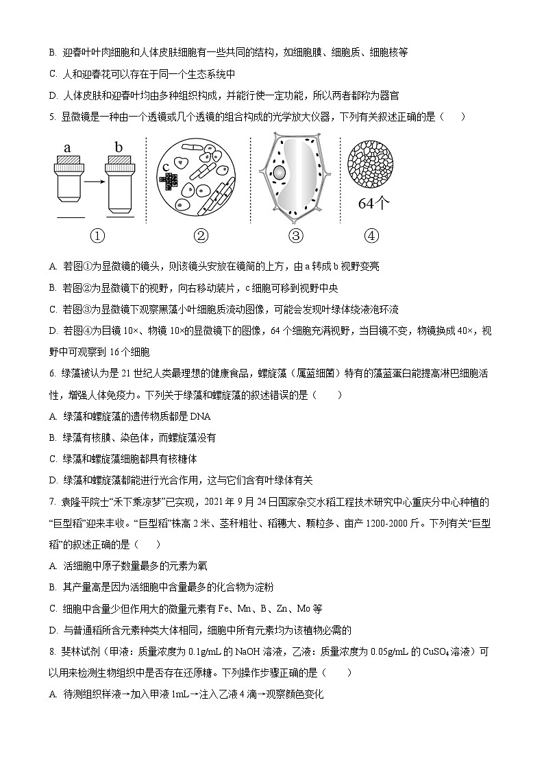 湖南省长沙市明德中学2024-2025学年高一上学期第一次阶段检测生物试题 Word版无答案第2页