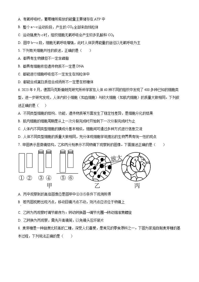 吉林省白城市洮北区白城市第一中学2024-2025学年高三上学期9月月考生物试题 Word版无答案第2页