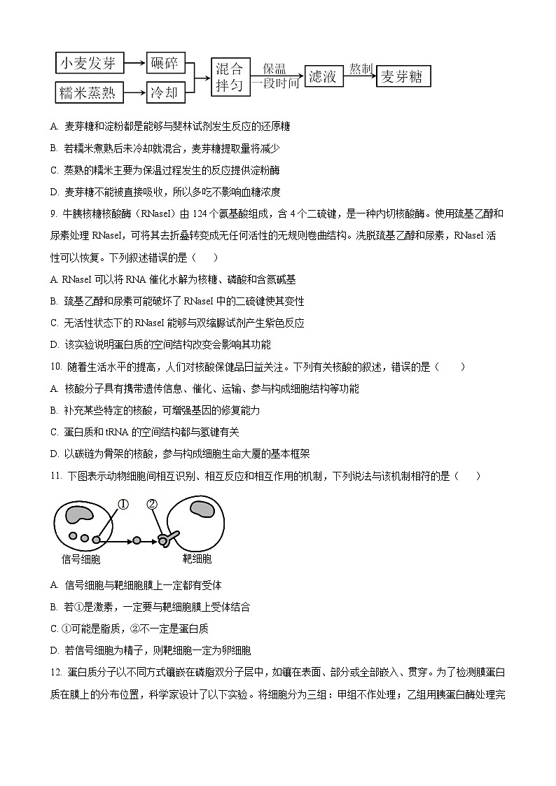 吉林省白城市洮北区白城市第一中学2024-2025学年高三上学期9月月考生物试题 Word版无答案第3页