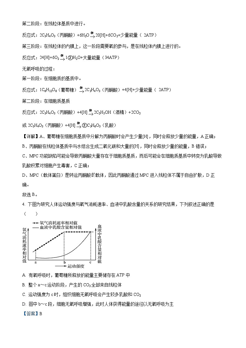 吉林省白城市洮北区白城市第一中学2024-2025学年高三上学期9月月考生物试题 Word版含解析第3页
