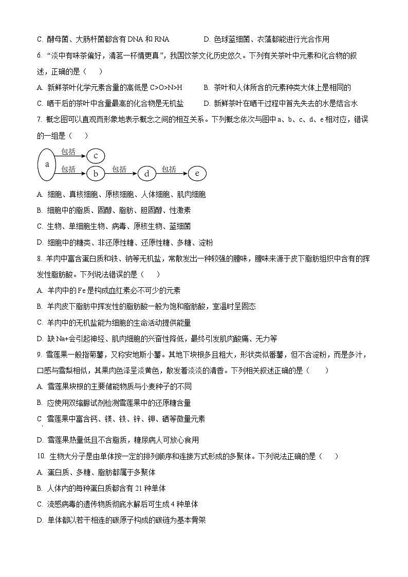 吉林省多校联考2024-2025学年高一上学期10月月考生物试题 Word版无答案第2页