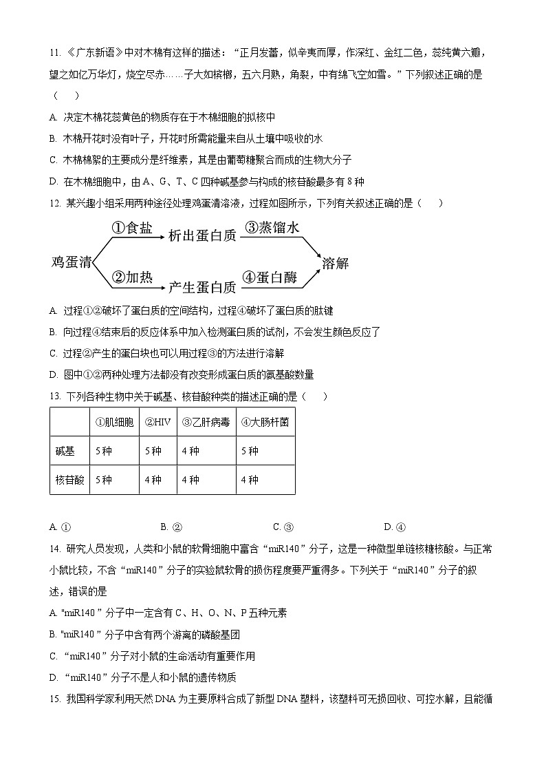 吉林省多校联考2024-2025学年高一上学期10月月考生物试题 Word版无答案第3页