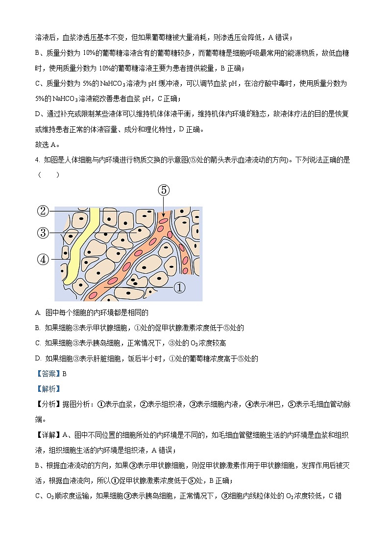 吉林省长春市东北师范大学附属中学2024-2025学年高二上学期9月阶段验收考试生物试题 Word版含解析第3页