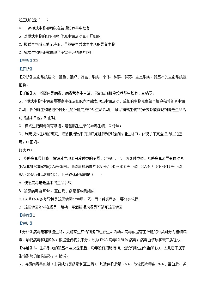 吉林省长春市东北师范大学附属中学2024-2025学年高一上学期9月月考生物试题（Word版附解析）02