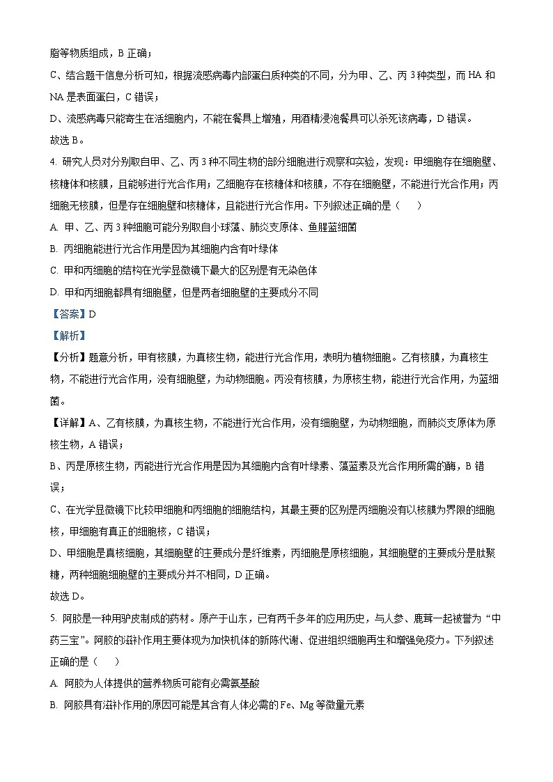 吉林省长春市东北师范大学附属中学2024-2025学年高一上学期9月月考生物试题（Word版附解析）03