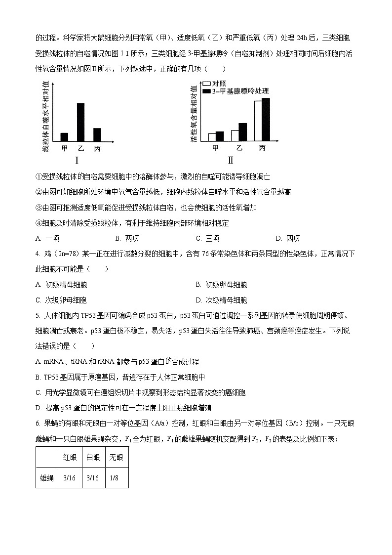 云南省昆明市五华区云南师范大学附属中学2024-2025学年高三上学期9月月考生物试题 Word版无答案第2页