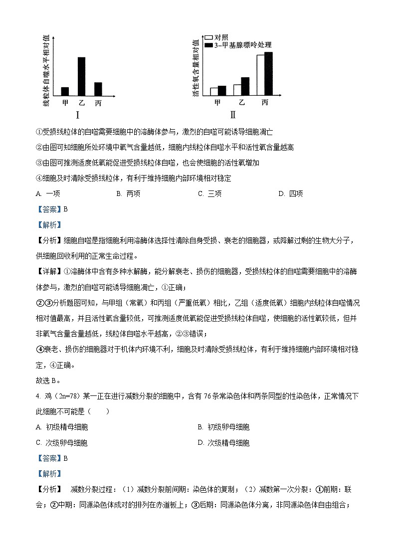 云南省昆明市五华区云南师范大学附属中学2024-2025学年高三上学期9月月考生物试题 Word版含解析第3页
