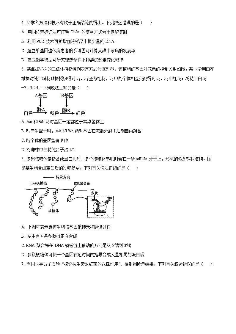 云南省昆明市五华区云南师范大学附属中学2024-2025学年高三上学期10月月考生物试题 Word版无答案第2页