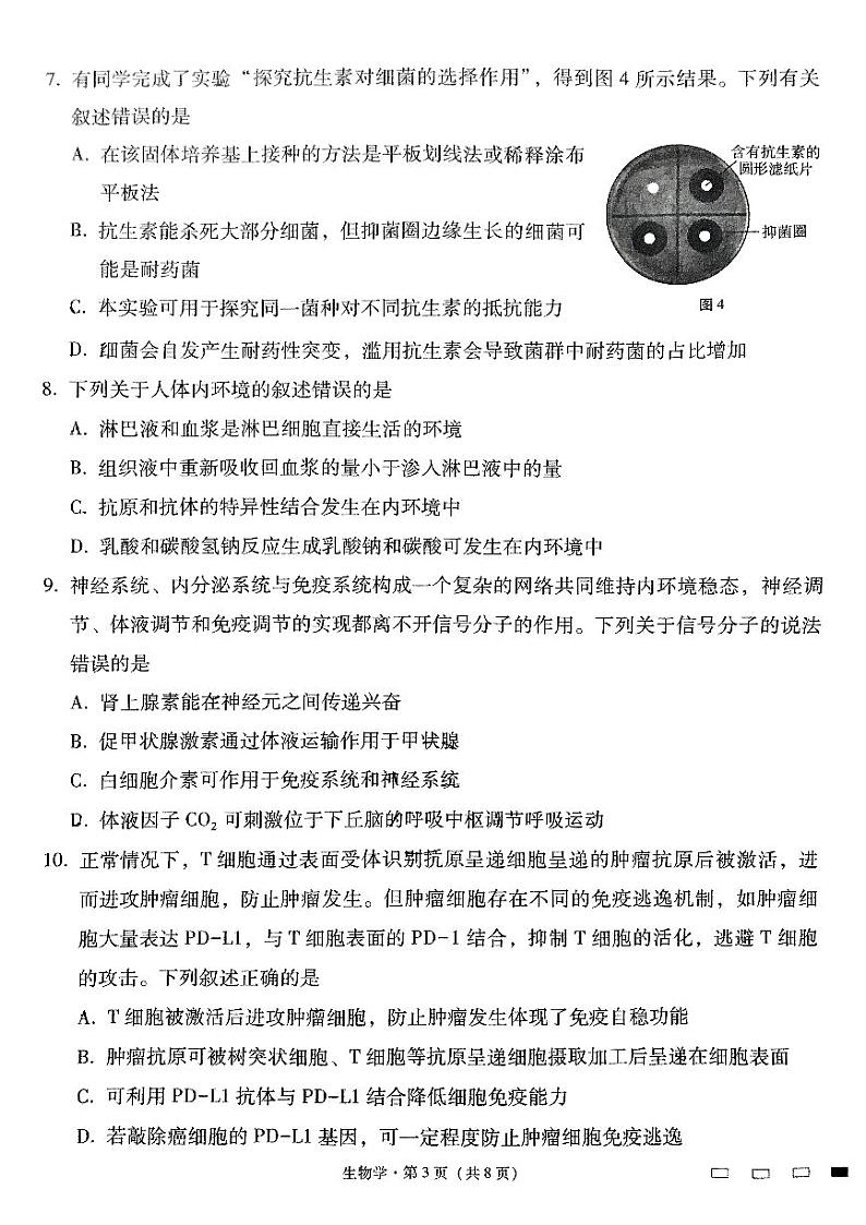 云南省昆明市五华区云南师范大学附属中学2024-2025学年高三上学期10月月考生物试题第3页
