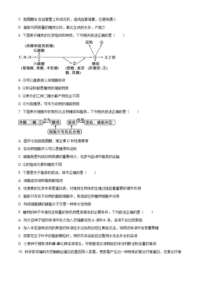 浙江省精诚联盟2023-2024学年高一上学期10月联考生物试题（Word版附解析）02
