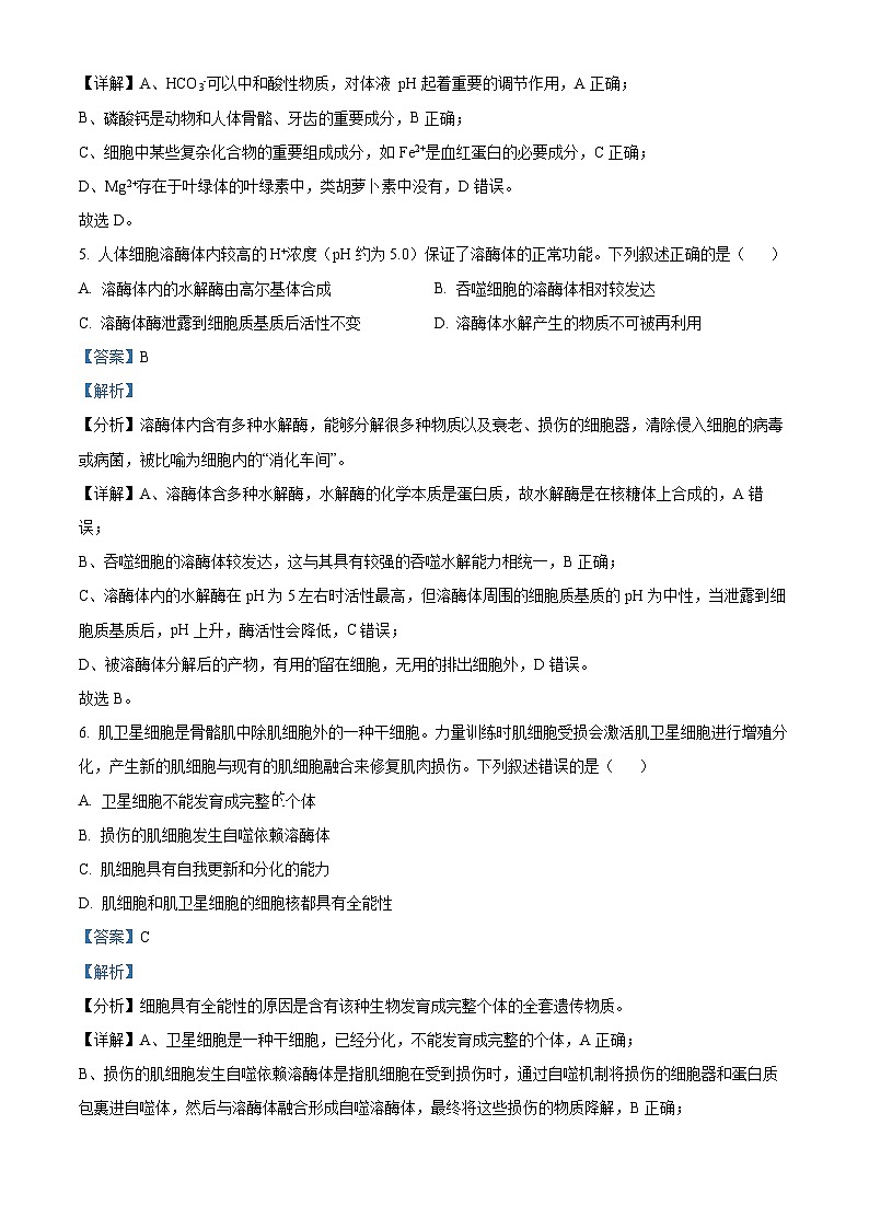 浙江省丽水市“五校高中发展共同体”2024-2025学年高二上学期10月联考生物试题 Word版含解析第3页
