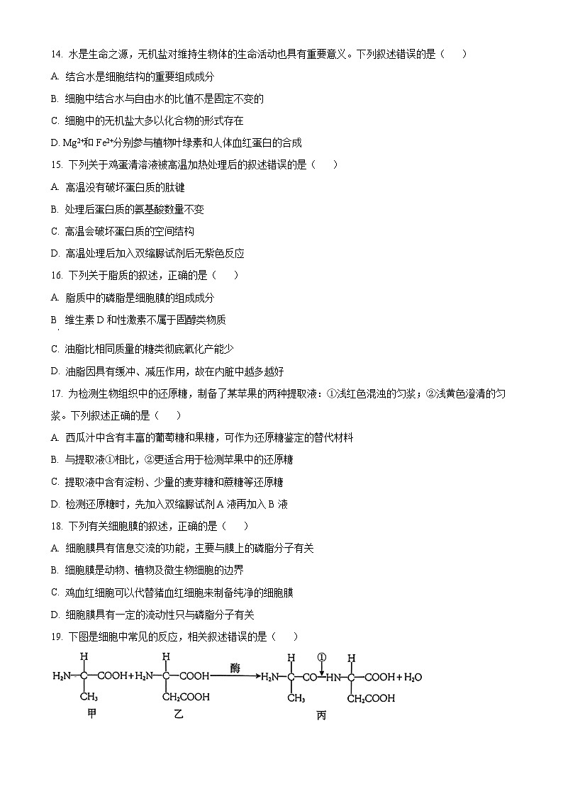 浙江省温州市第八中学2024-2025学年高一上学期10月月考生物试题（Word版附解析）03