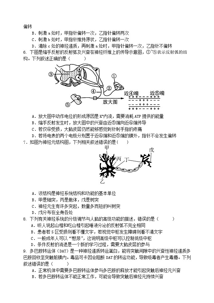 江苏省盐城市五校联考2024-2025学年高二上学期10月月考生物试题（Word版附答案）第2页