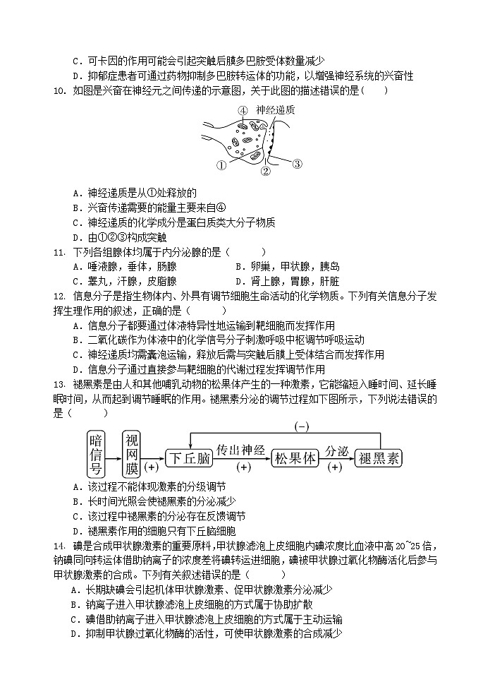 江苏省盐城市五校联考2024-2025学年高二上学期10月月考生物试题（Word版附答案）第3页
