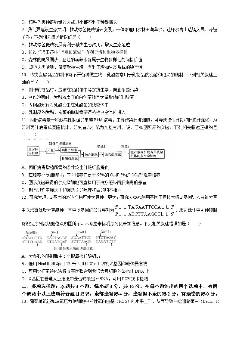 江西省多校联考2024-2025学年高三上学期10月月考生物试题（Word版附答案）第3页