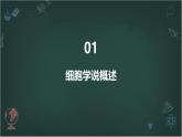 细胞学说的建立与发展高中生物苏教版（2019） 必修1 分子与细胞 课件