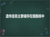 遗传信息主要储存在细胞核中高中生物苏教版（2019） 必修1 分子与细胞 课件