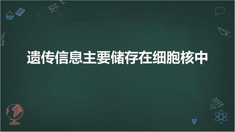 遗传信息主要储存在细胞核中高中生物苏教版（2019） 必修1 分子与细胞 课件01