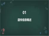 遗传信息主要储存在细胞核中高中生物苏教版（2019） 必修1 分子与细胞 课件