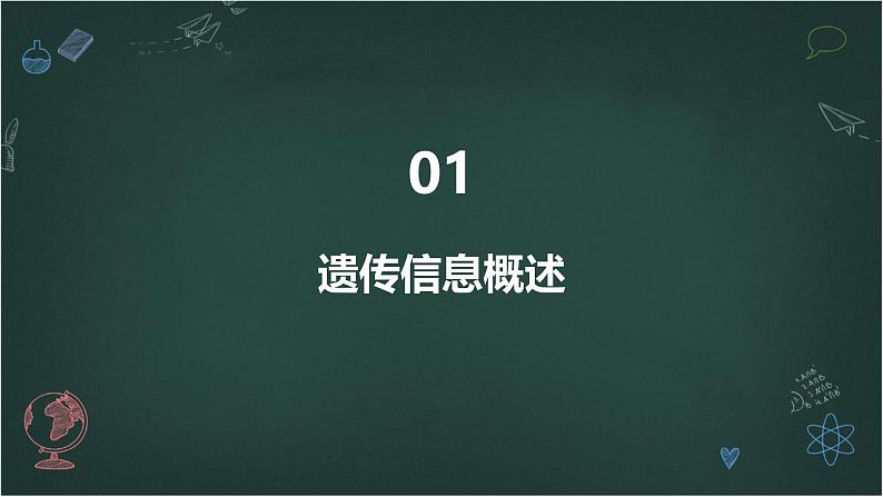 遗传信息主要储存在细胞核中高中生物苏教版（2019） 必修1 分子与细胞 课件03