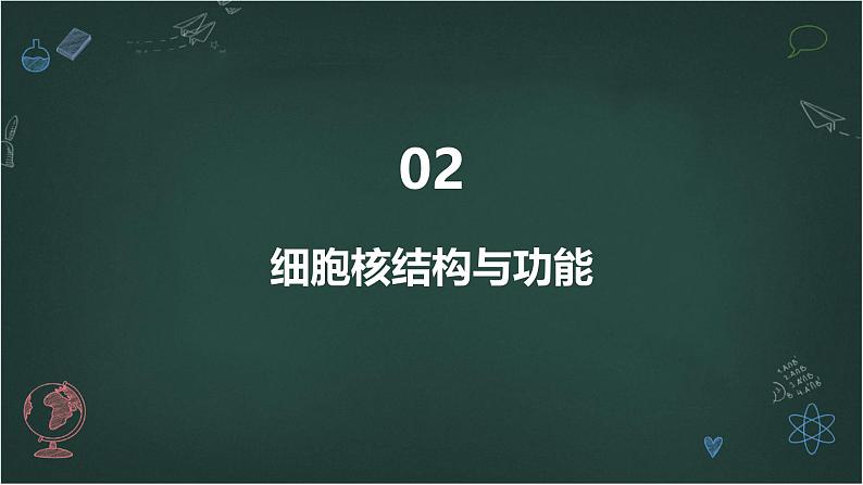 遗传信息主要储存在细胞核中高中生物苏教版（2019） 必修1 分子与细胞 课件07