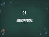 原核细胞和真核细胞的主要区别高中生物苏教版（2019） 必修1 分子与细胞 课件