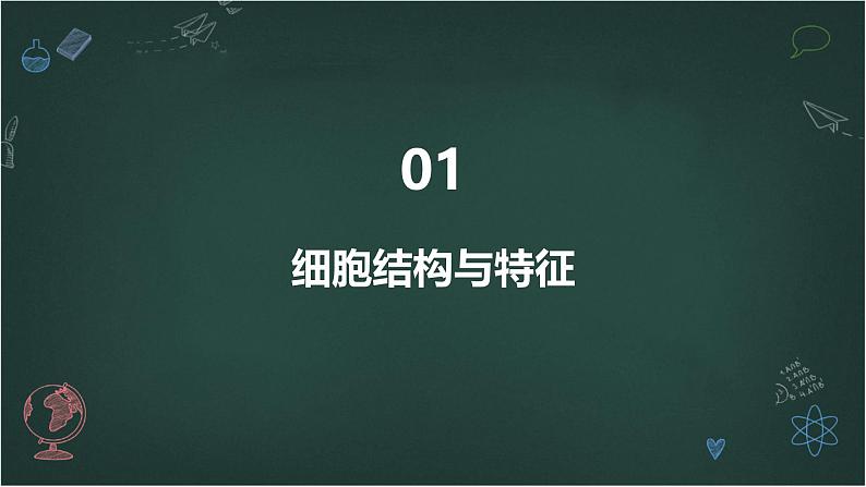 原核细胞和真核细胞的主要区别高中生物苏教版（2019） 必修1 分子与细胞 课件第3页